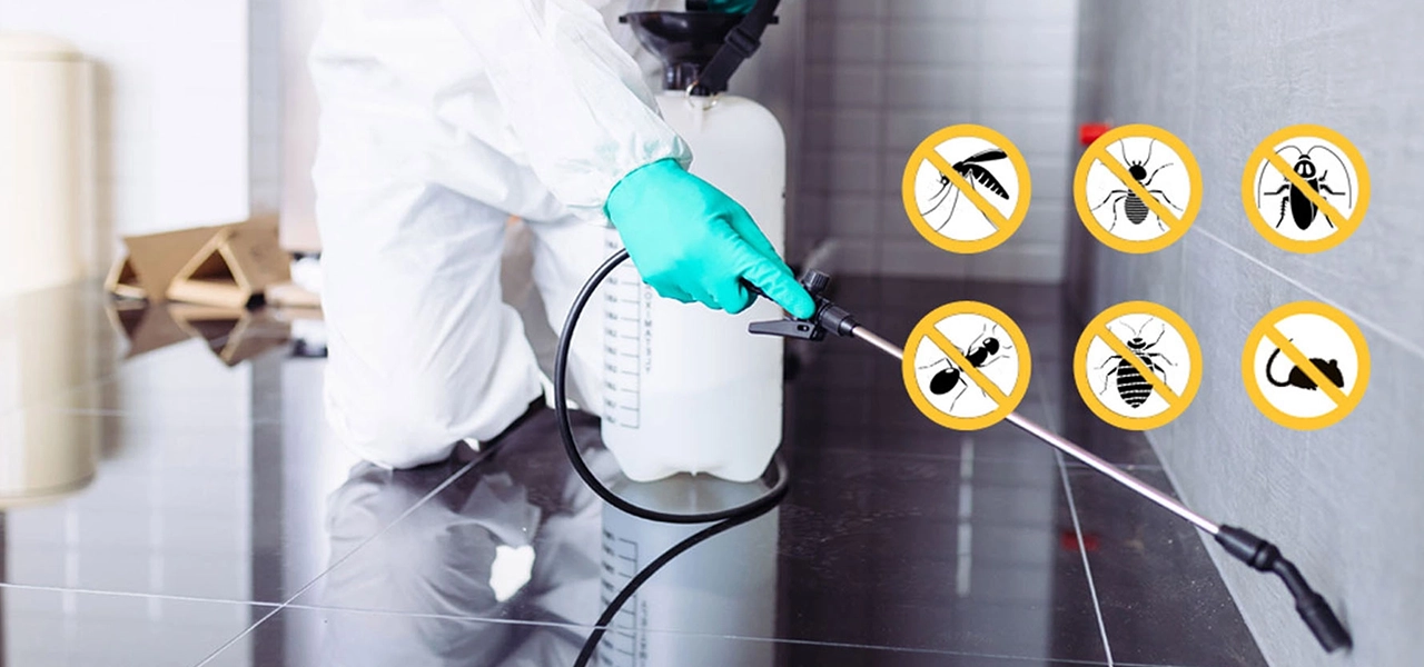 Best Pest Control Service Hyderabad