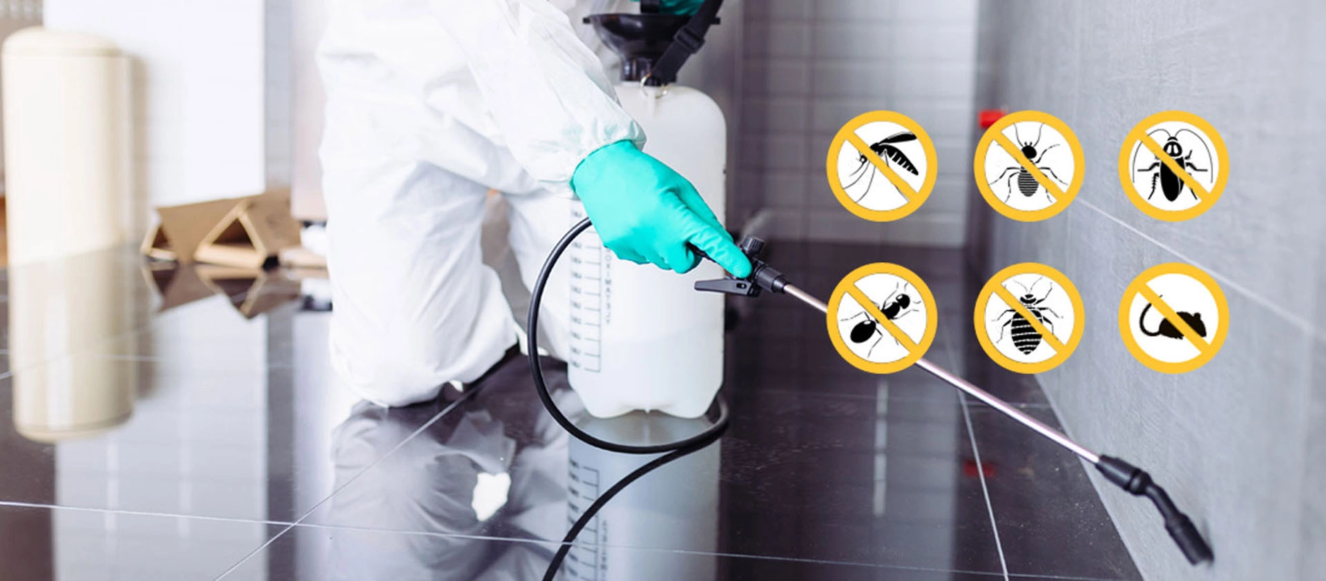 AJL Bugs Control Service
