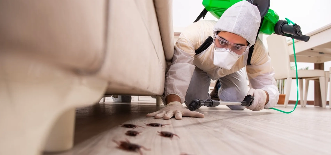 Best Pest Control Service Hyderabad