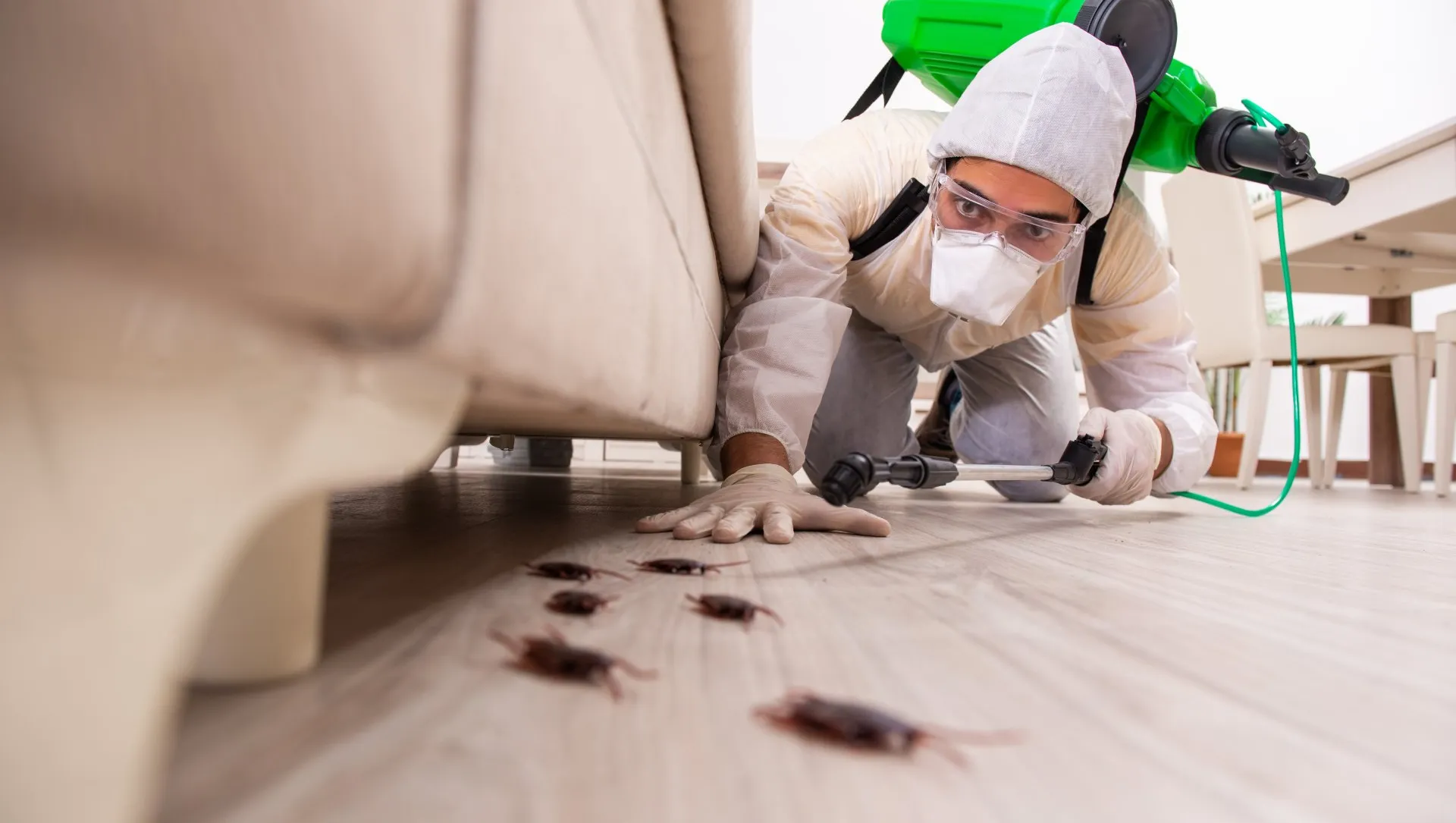 Best Pest Control Service Hyderabad