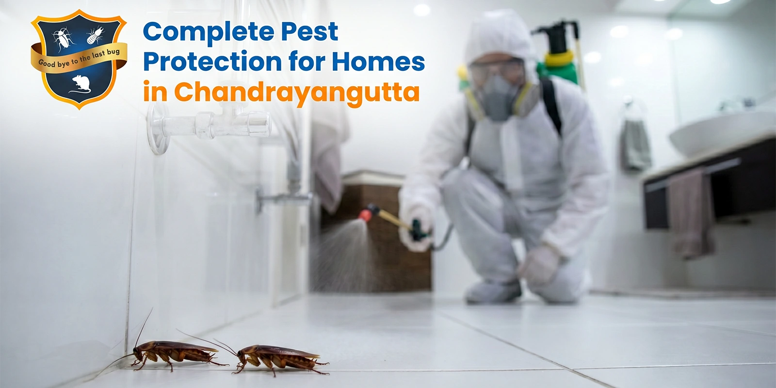 Expert pest control in Chandrayangutta with eco-friendly solutions, free inspection, and AMC plans
