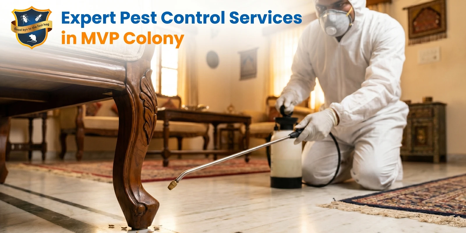 Expert Pest Control MVP Colony with Free Inspection by AJL 